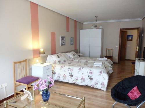 Apartamento Alojamientos Iru�a