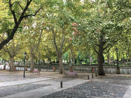 Apartamento Maitagarri Casco Antiguo