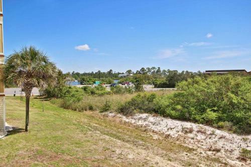 Grande Caribbean By Youngs Suncoast