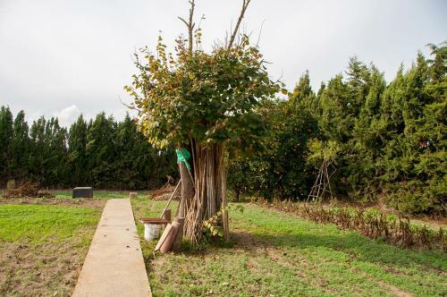 Agroturismo Cal Romani Ecohouse