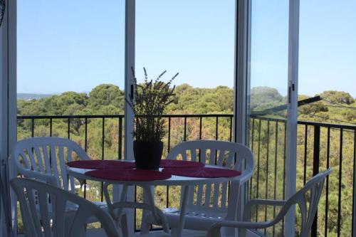 Precioso Apartamento Con Piscina.