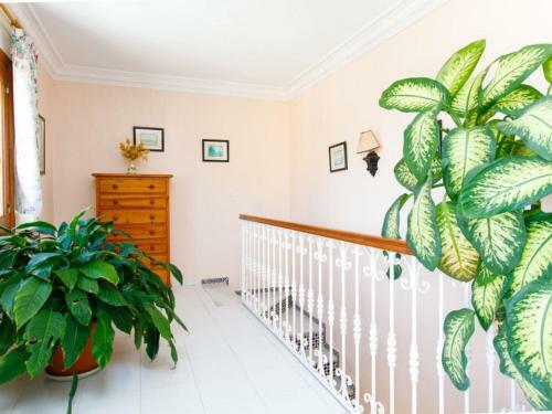 Villa Angeles Exotica Nerja