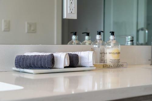 Contemporary Luxury 4 Bedroom House Near Downtown
