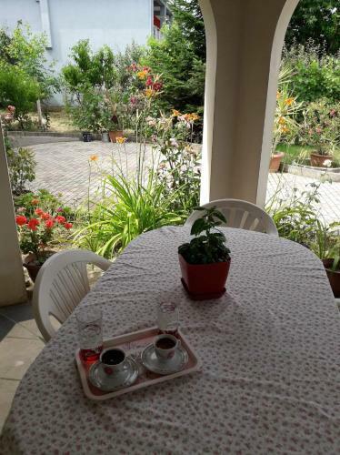 Villa Vila Shameti