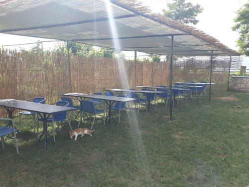 Hostal Vila Verd Korce