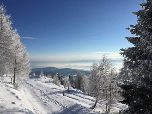 Apartamento Appartement Vidmar-wintertraum