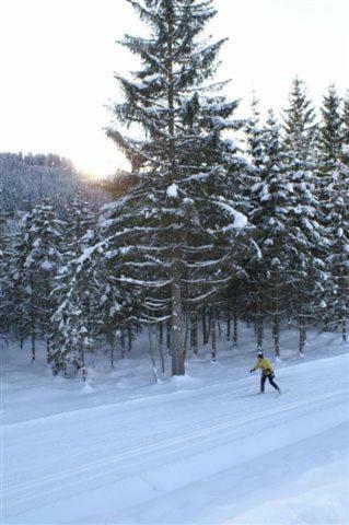 Apartamento Appartement Vidmar-wintertraum