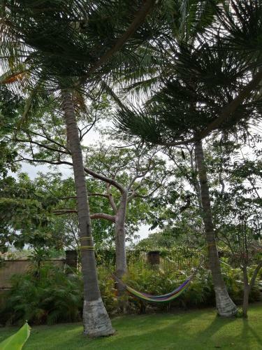 La Hacienda - Homestay