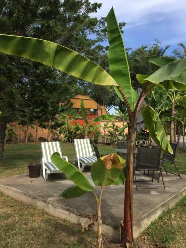 La Hacienda - Homestay