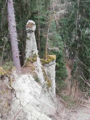 Apart Waldesruh