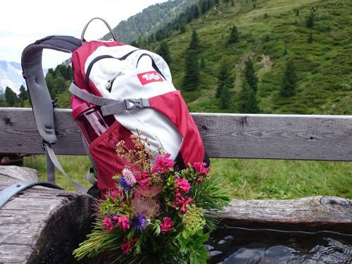 Agroturismo Kinderbauernhof Ierzerhof