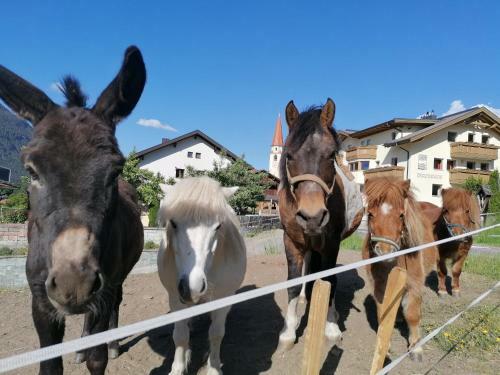 Agroturismo Kinderbauernhof Ierzerhof