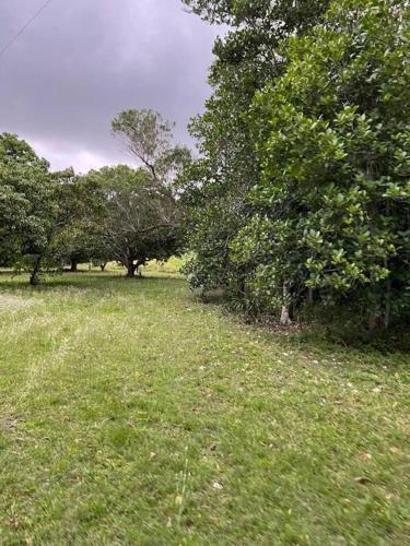 Byfields Beach Lakes Farm Stay