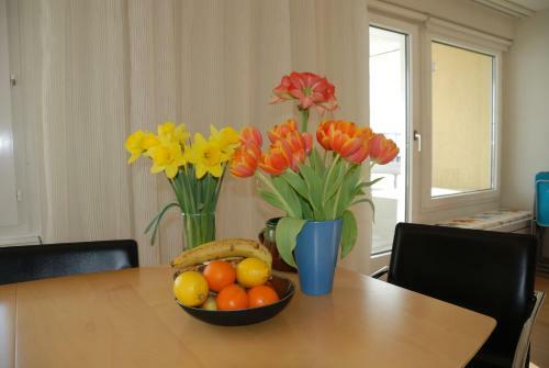Apartamento Ferienwohnung Schaap-m�ller