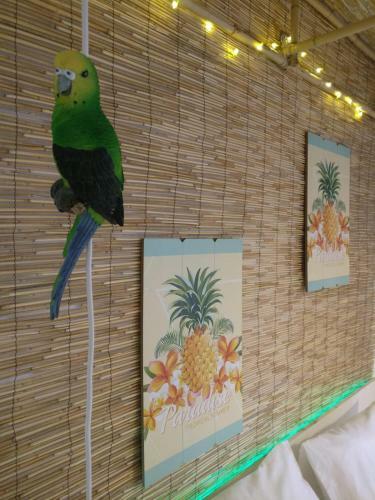 Hostal Wonder Rooms Nerja Guest House