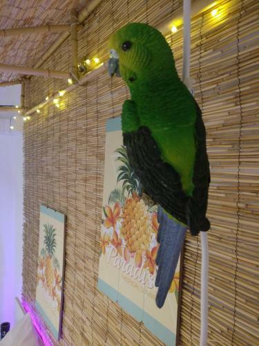 Hostal Wonder Rooms Nerja Guest House