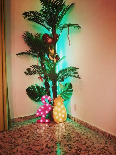 Hostal Wonder Rooms Nerja Guest House