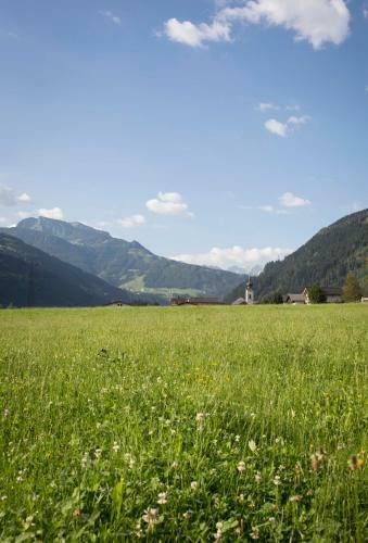Apartamento Ledererhof
