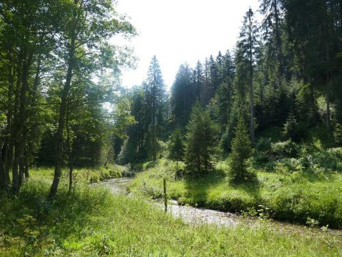 Holiday Home Felice - Olv220