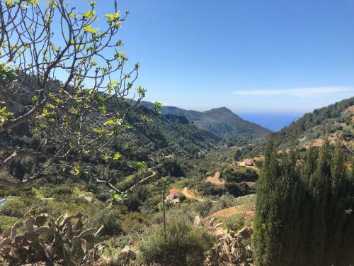 Cortijo Luque