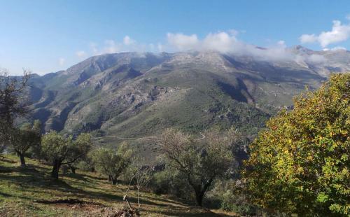 Cortijo Luque