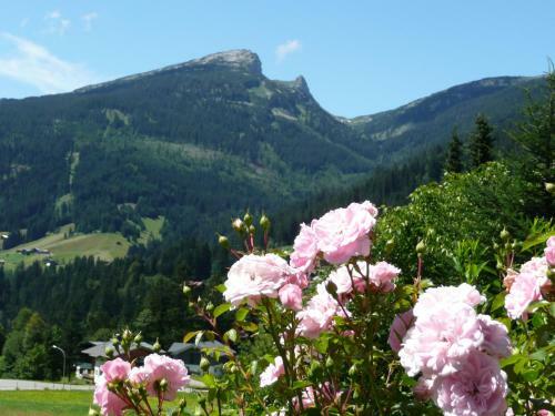 Apartamento G�stehaus Schuler