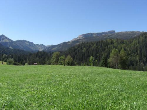 Hotel G�stehaus Boersch