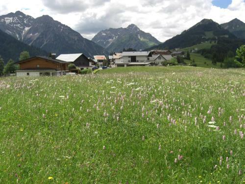 Hotel G�stehaus Boersch