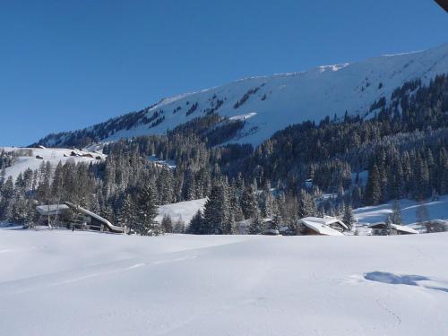 Apartamento Denninger's Ferienh�usle