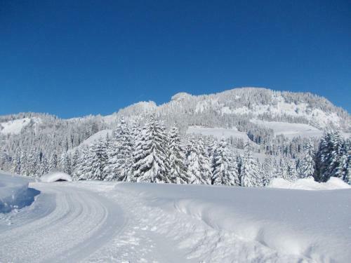 Apartamento Berghof Felder