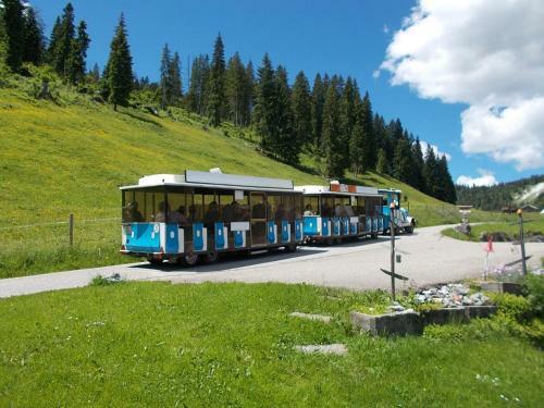 Apartamento Berghof Felder