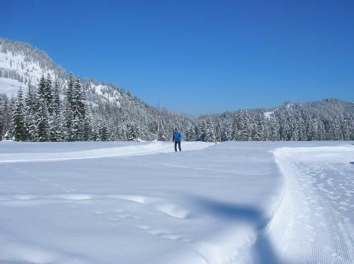 Apartamento Berghof Felder