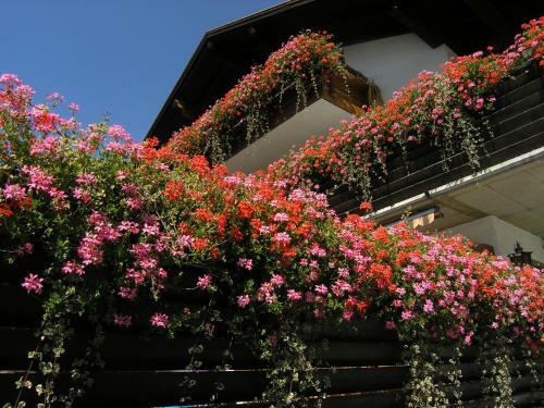 Hostal G�stehaus Haberstock