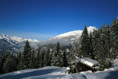 Apartamento Ferienhaus Sporer
