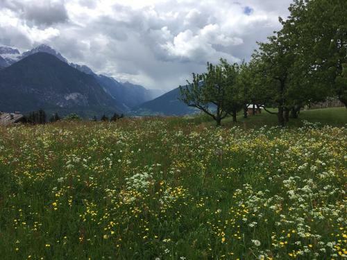 Hostal Fr�hst�ckspension Alpenrose