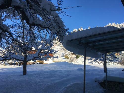 Hostal Fr�hst�ckspension Alpenrose