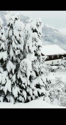 Hostal Fr�hst�ckspension Alpenrose