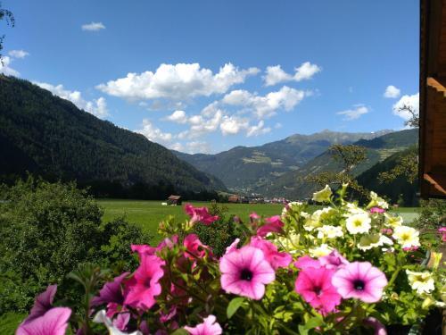 Apartamento Haus Zur M�hle