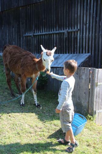 Agroturismo Sperl