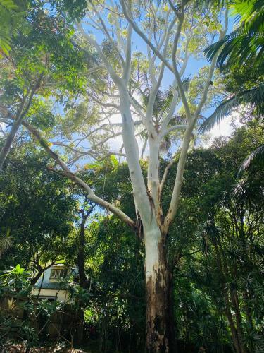 Milly's Beach House Byron Bay