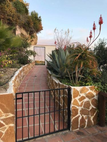Apartamento Capistrano Playa 307