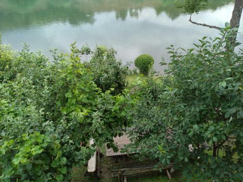 Bed & Breakfast Preno?i?te Na Drini Fo?a