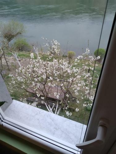 Bed & Breakfast Preno?i?te Na Drini Fo?a