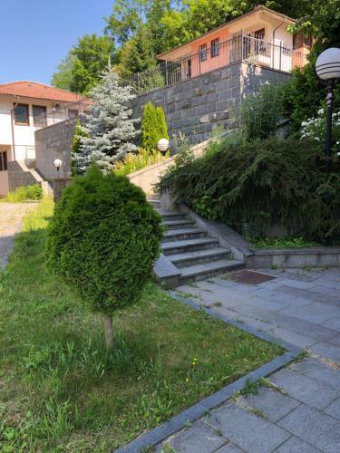 Street View Apartman
