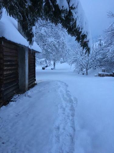 Koliba Za Odmor U Prirodi