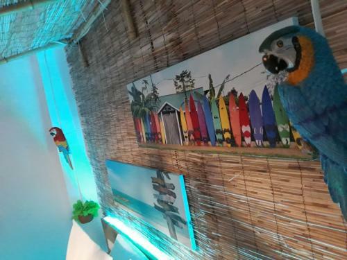 Apartamento Wonder Place Nerja