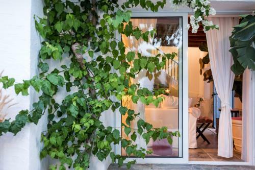 Hostal Casa Boho