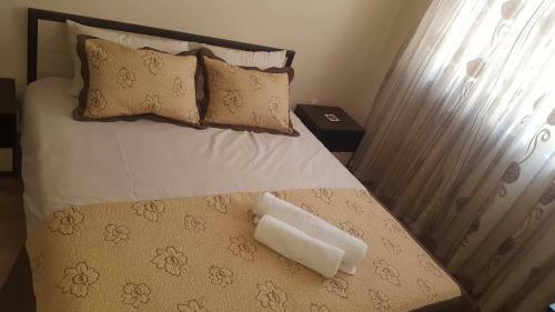 Cosy Apartment - City Centre