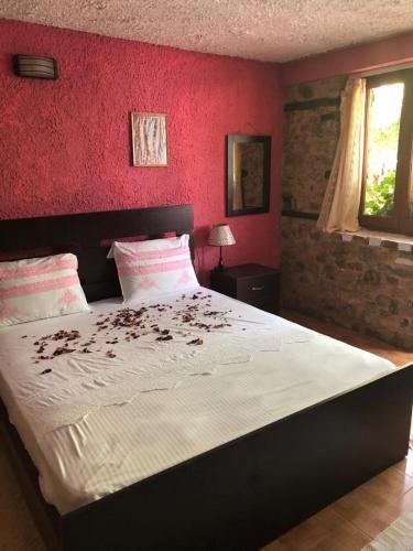 Rosa B&B
