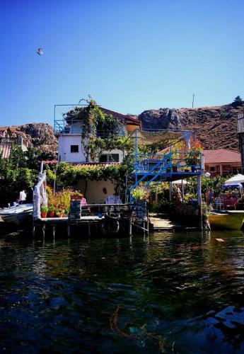 Rosa B&B